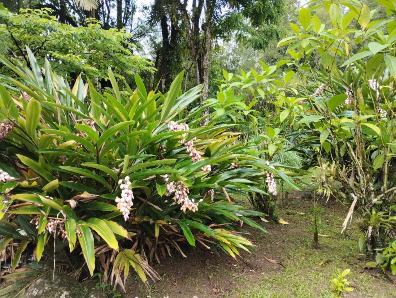 Pousada Morretes Arraial ภายนอก รูปภาพ