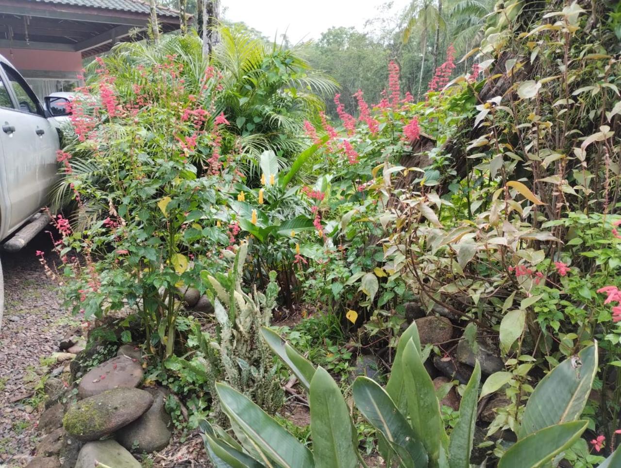 Pousada Morretes Arraial ภายนอก รูปภาพ