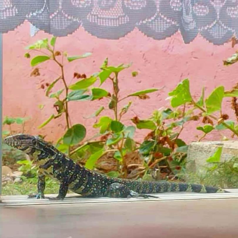 Pousada Morretes Arraial ภายนอก รูปภาพ